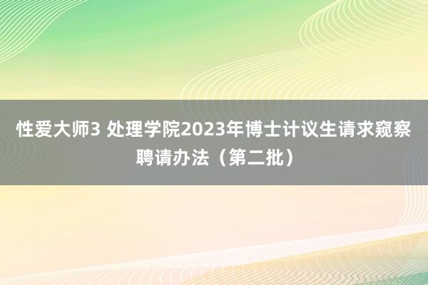 性爱大师3 处理学院2023年博士计议生请求窥察聘请办法（第二批）