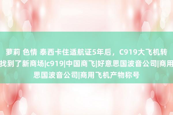 萝莉 色情 泰西卡住适航证5年后，C919大飞机转了一圈，我方找到了新商场|c919|中国商飞|好意思国波音公司|商用飞机产物称号