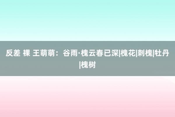 反差 裸 王萌萌：谷雨·槐云春已深|槐花|刺槐|牡丹|槐树