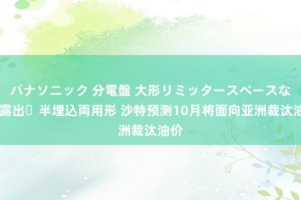 パナソニック 分電盤 大形リミッタースペースなし 露出・半埋込両用形 沙特预测10月将面向亚洲裁汰油价