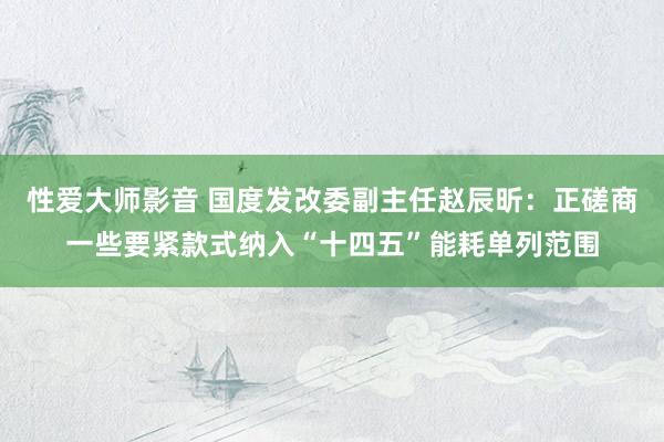性爱大师影音 国度发改委副主任赵辰昕：正磋商一些要紧款式纳入“十四五”能耗单列范围