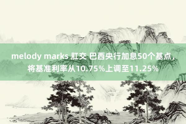 melody marks 肛交 巴西央行加息50个基点，将基准利率从10.75%上调至11.25%