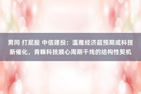 男同 打屁股 中信建投：温雅经济超预期或科技新催化，青睐科技顺心周期干线的结构性契机