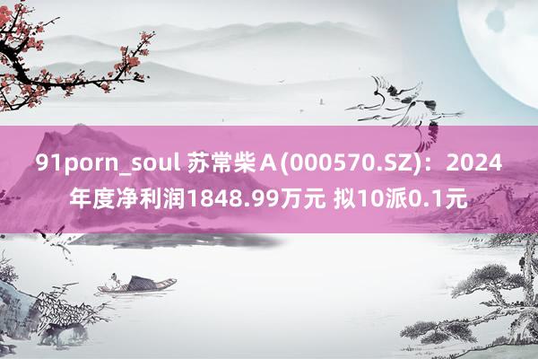 91porn_soul 苏常柴Ａ(000570.SZ)：2024年度净利润1848.99万元 拟10派0.1元